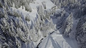 An aerial view of pine trees covered with snow on a field in HD