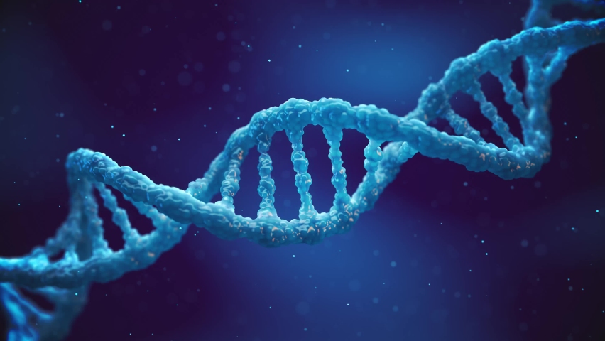 Animation of a moving double helix DNA molecule. Molecular genetics and gene mutation concept. | Shutterstock HD Video #1068329891