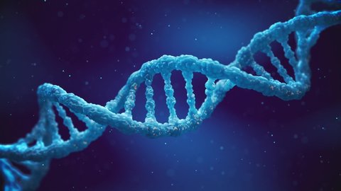 Animation of a moving double helix DNA molecule. Molecular genetics and gene mutation concept.