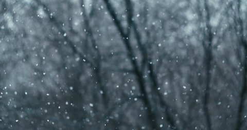 Falling snow on blurred  background. Snow falling in slow motion. Winter snowfall. winter landscape