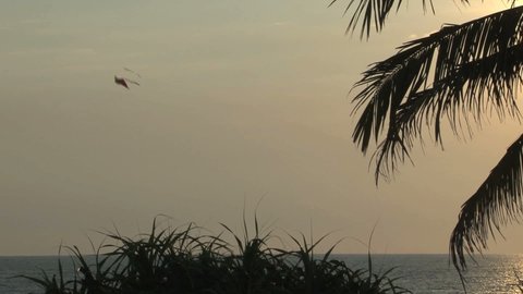 Kite sunset in Sri Lanka, asia