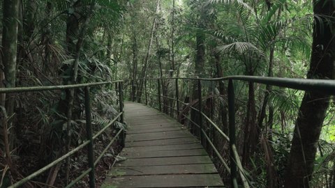 wooden bridge with lots of vegetation and trees around Serra dos Órgãos in Teresópolis in Rio de Janeiro