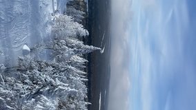 VERTICAL FOOTAGE. Above view of Winter frozen pine tops of trees at frosty weather in the afternoon. Video Winter forest aerial view. The tops of snow-covered winter conifers.