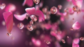 Rose petals jumping with water drops in slow motion 4K - Powered by Shutterstock - Get 15% off with code: PIKWIZARD15