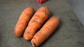 A hand in a black glove takes three unpeeled carrots