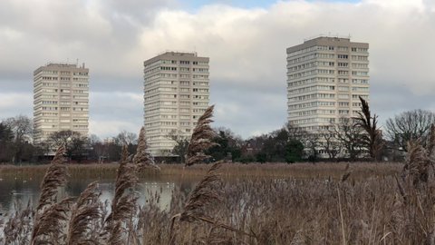 Urban Wildlife, Concrete Tower Blocks Behind Lake with Reeds and Birdlife