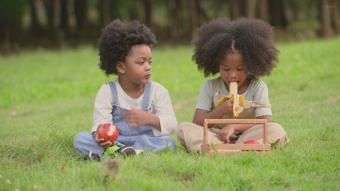 Two african american dark skin child boy and girl sitting and eating fruits in parks and outdoors. Happy african child boy and girl eating apple and banana with smile in grass field tropical autumn. 