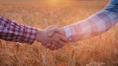 Farmers shake hands against the background of the wheat field at sunset