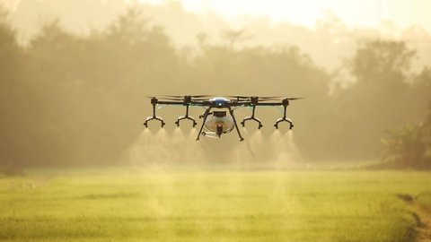 Agriculture drone fly to sprayed fertilizer on the rice field. industrial revolution. agriculture technology.