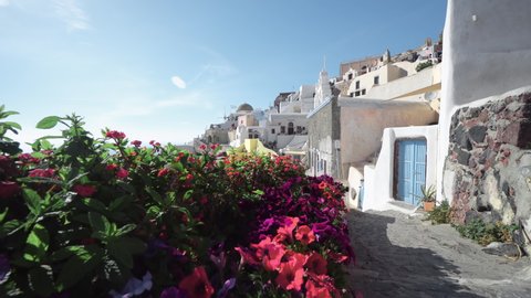 Santorini, Greece. Picturesqe view of traditional cycladic Santorini houses on small street with flowers in foreground. Oia village, Santorini, Greece. Vacations background
