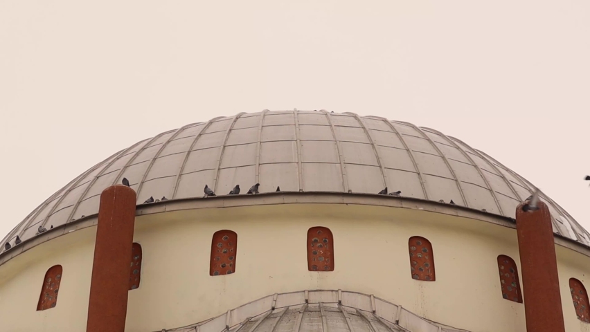 Common pigeons flying from the dome of a mosque in Erzurum, Turkey.
Grey pigeons in a mosque symbolize peace.
Wild birds fly freely.
rock dove, rock pigeon or domestic pigeon.
wild animals in the city