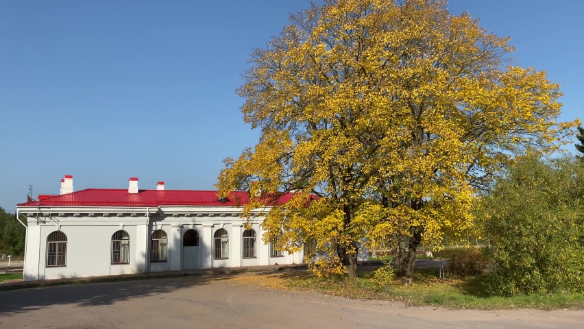 bright autumn foliage on the trees on a nice sunny day