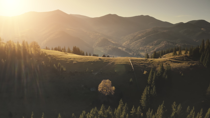 Sun over mountain ridges aerial. Pine forest at mount village. Autumn nobody nature landscape. Cottages at burnt grass farmland. Rural road at Alpine field. Countryside holiday at Alps, France, Europe Royalty-Free Stock Footage #1068408449