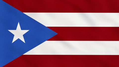 Crumpled Fabric Flag of Puerto Rico Intro. Puerto Rico Flag. Puerto Rico Banner. Caribbean Flags. Celebration. Flag Day. Patriots. Realistic Animation 4K. Surface Texture. Background Fabric.