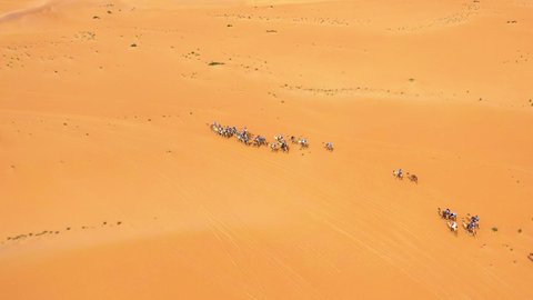 Aerial view of a cavalcade of camels in Sahara desert Morocco - orbit drone shot
