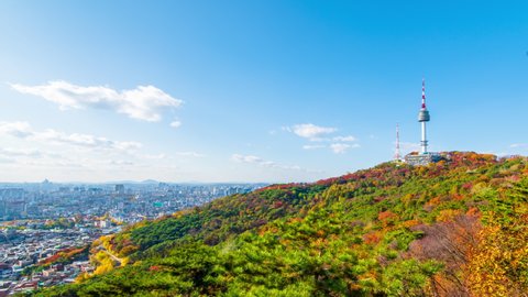 Timelapse 4k Autumn Leaves On Namsan Stock Footage Video (100% Royalty ...