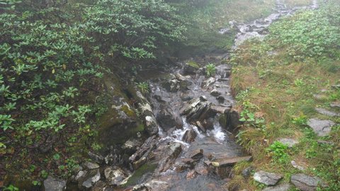 Water stream in Cangshan mountain on rainy weather day in Dali Yunnan China
