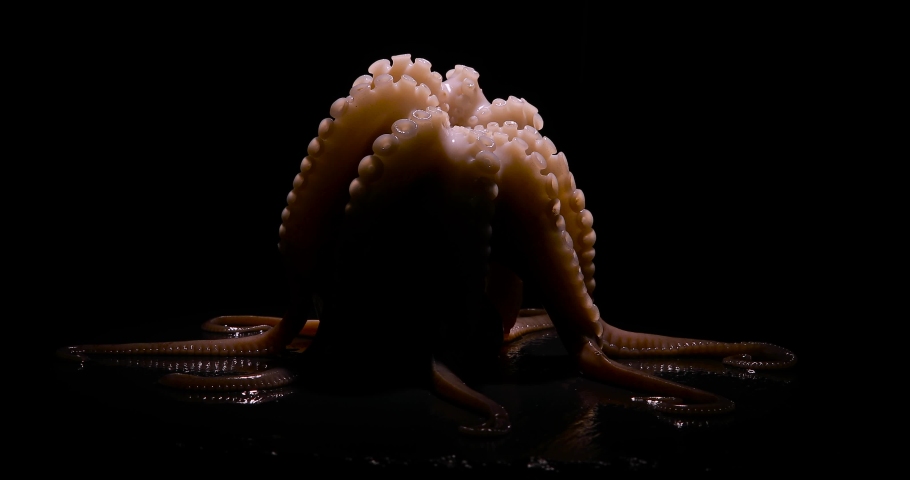 Fresh, raw cuttlefish rotating on the stand over black background. Seafood
