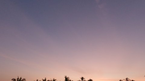 Colorful pastel red purple pink sunrise blue sky n gradient golden yellow orange sun light ray or sunbeam with airy white cloud n cirrus cloudscape over palm tree leaf, 4k cinemagraph b-roll TimeLapse