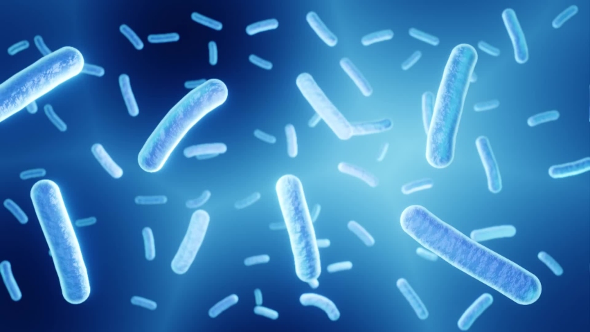 Floating lactobacillus bacteria, beneficial microorganisms, part of the human microbiome, probiotics | Shutterstock HD Video #1068434795