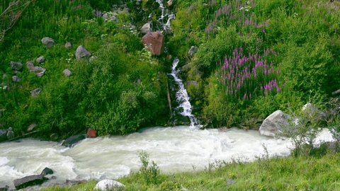 The creek tributary flows (water jumps on the rocks) into the small mountain river with white frothy water. Lush meadows on the slopes of the gorge. North Caucasus beautiful view