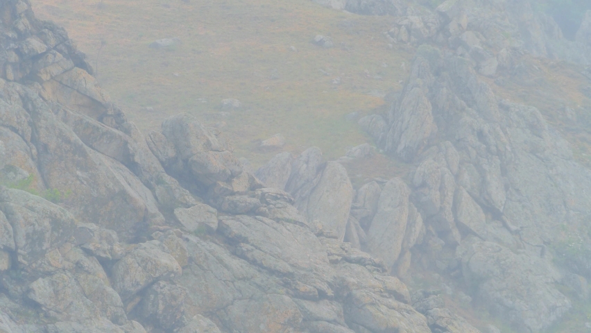 rainy day in the mountains - water drops falling on the stones