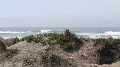 Sand dunes in the foreground and the ocean in the background.