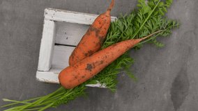 Fresh carrots with leaves in wooden box on gray old fabric, camera rotation video