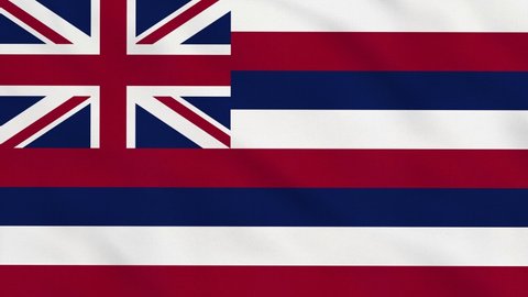 Crumpled Fabric Flag of Hawaii USA Intro. Hawaii Flag. USA. Hawaii. American Flag. North America Flags. Celebration. Flag Day. Patriots. Realistic Animation 4K. Surface Texture. Background Fabric.