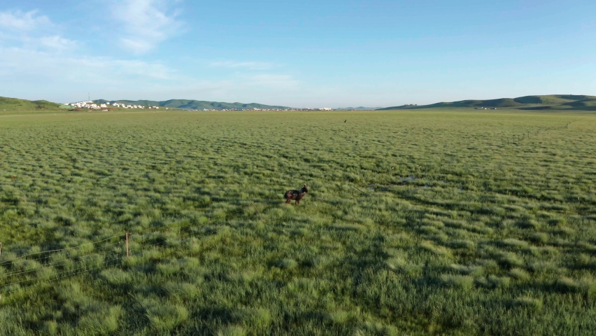 The prairie in Hongyuan  Country Western Sichuan .These are 4k moves taken by unmanned aerial vehicle showing the beautiful scenery  of sunny morning  on the prairie .