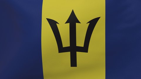Barbados waving flag seamless loop animation 4k. 3d Barbados Flag texture close up background