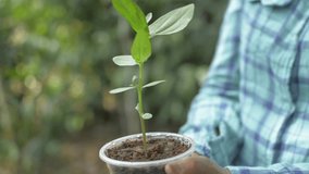 Hands of woman holding a sapling plant in reused plastic cup in the garden. Plant care. Environmental conservation. New growth and sustainable agriculture concept. - Powered by Shutterstock - Get 15% off with code: PIKWIZARD15