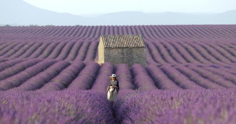 Lockdown shot of woman walking amidst lavender flowers against barn on field during sunset - Valensole Provence, France