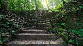 Old stone steps in the jungle in Palenque, Mayan Ruins. Camera pans up the ancient Mayan stairs among the lush jungle vegetation, Mexico - Powered by Shutterstock - Get 15% off with code: PIKWIZARD15