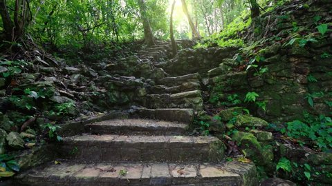 Old stone steps in the jungle in Palenque, Mayan Ruins. Camera pans up the ancient Mayan stairs among the lush jungle vegetation, Mexico