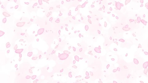 A flurry of cherry blossom petals on pink shining background 