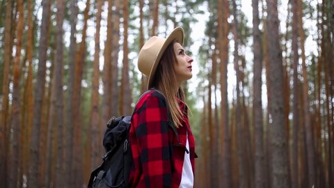Woman tourist in the forest. Concept hike, tourism.