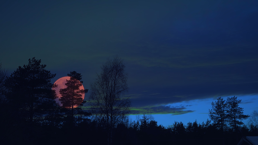 Very large pink full Moon rises above dark forest and shine through heavy dark blue clouds after Sunset. Mysterious scene for video production