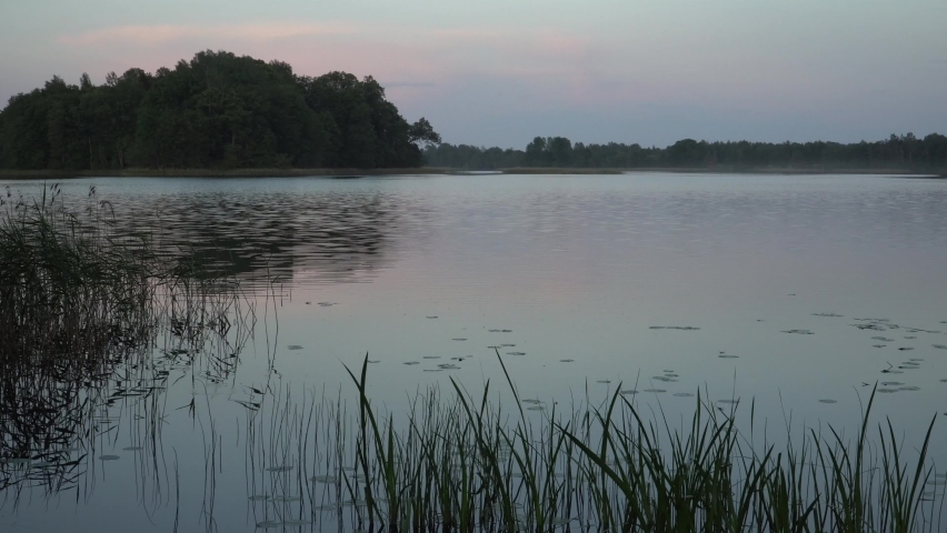 Peaceful evening moods on the lake. The calm water surface ripples in the wind breeze. The summer season idyllic landscape at the water. The beautiful scene at the grassy lakeshore before nightfall.