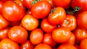 Footage of a large pile of fresh tomatoes in a grocery store. Fresh vegetables in the supermarket. Left to right smooth panning, 4k video