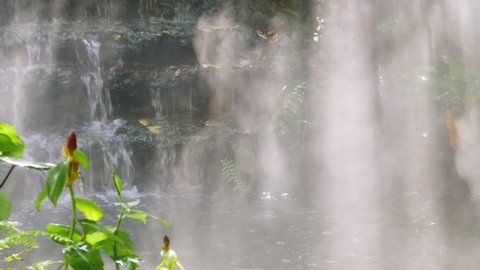Zoom out shot the misty sunlight on the cascade waterfall in beautiful green tropical rain forest garden. Beautiful nature, Forest park, waterfall, Tropical Pond. Decorative Backyard Garden and mist. 