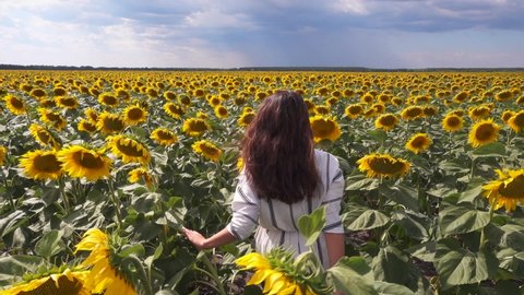 Beautiful girl man walks through sunny field of sunflowers among tall yellow flowers. Agricultural landscape. Enjoy cinematic nature. Epic clouds. Happy life, tourist emotional film. Break out to rest