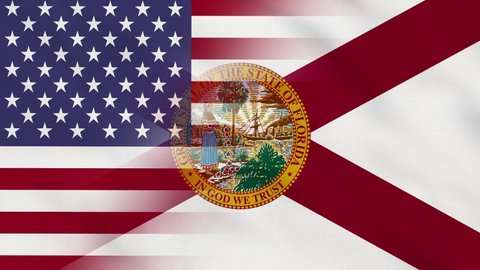 Crumpled Fabric Flag of Florida State - USA Intro. USA Flag. State of Florida Flags. North America Flags. Celebration. Realistic Animation 4K. Surface Texture. Background Fabric.