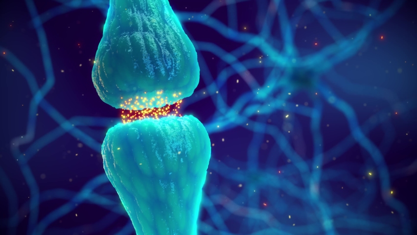 Animation of synaptic transmission - one nerve cell (neuron) communicating with another by releasing neurotransmitters. The synapse is the gap between two neurons and is also called neuronal junction. | Shutterstock HD Video #1068597674