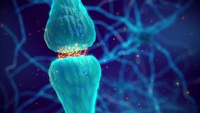 Animation of synaptic transmission - one nerve cell (neuron) communicating with another by releasing neurotransmitters. The synapse is the gap between two neurons and is also called neuronal junction. - Powered by Shutterstock - Get 15% off with code: PIKWIZARD15