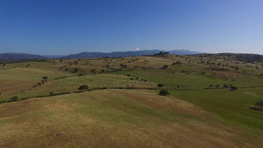pasture forest trees cows fields blue sky green