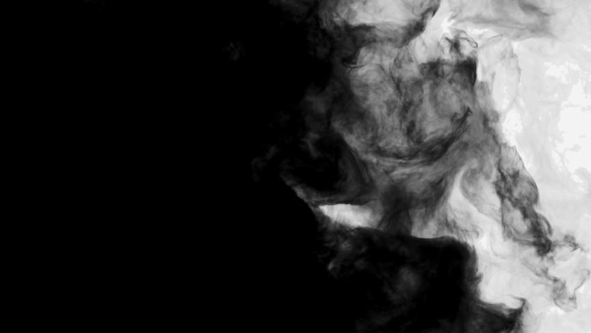 Smoke,Vapor,Fog - slow motion realistic smoke. Cloud for using in composition. Transition from white to black