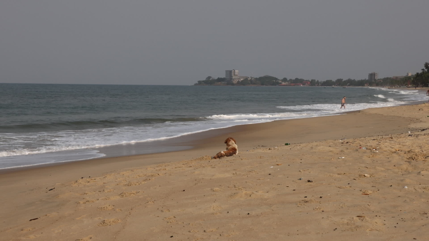 Sierra Leone on the coast of west Africa is a nation that suffers with extreme poverty and hunger. Tropical climate, environment from savanna to rainforests.