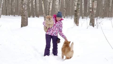 woman in the forest with dogs chow chow in winter, on a walk