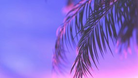 Animation. Palm tree branch. Vivid colors. 3D rendering. Abstract backround. Graphic design. 4K Motion graphics